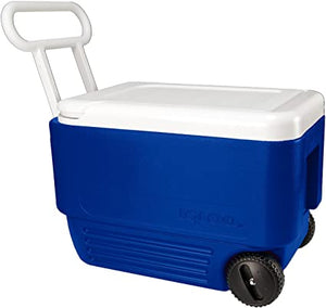 Coolers